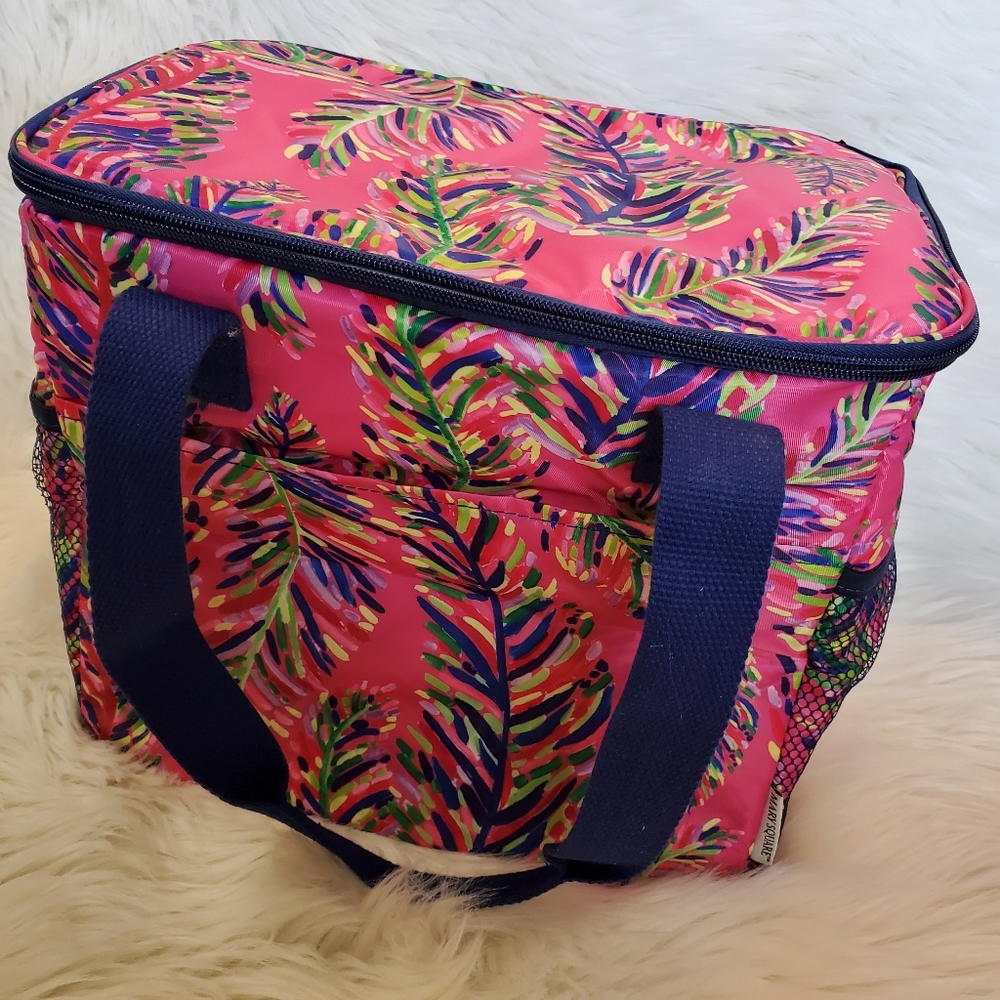 Lunchbox/cooler tote